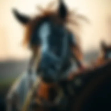 Magnificent 게임 슬롯의 모든 것: 전략, 종류 및 관리 방법 Magnificent 게임 슬롯의 모든 것: 전략, 종류 및 관리 방법