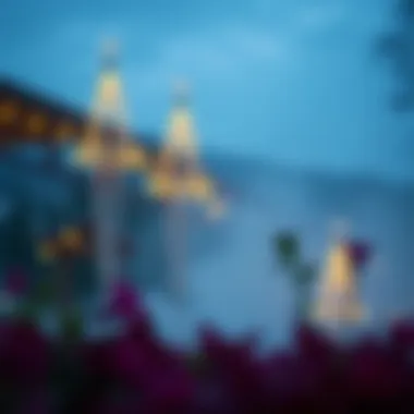 Magnificent 온라인 카지노의 이해 Magnificent 온라인 카지노의 이해