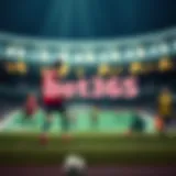 bet365 분석: 베팅의 모든 것 Introduction