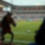 온라인 스필로텍 이해하기 Introduction